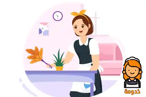 شغالة مدغشقر،شغالات مدغشقر،شغالات مدغشقر بالرياض